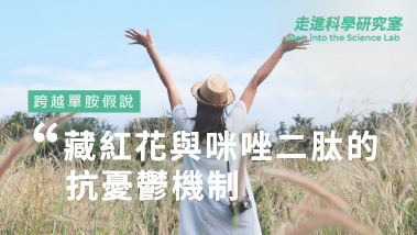 跨越單胺假說 (Monoamine Hypothesis)：簡述藏紅花與咪唑二肽的抗憂鬱機制 憂鬱症 (Depression) 的全球威脅與現況